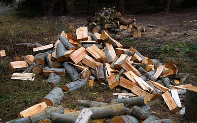 Jak na skladování dřeva?